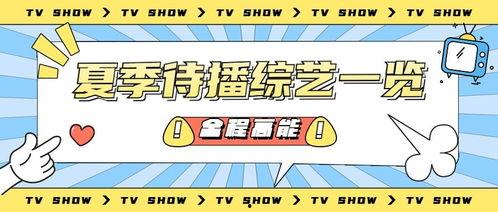 吃瓜娱乐主播营销号