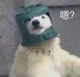 羊了个羊娱乐吃瓜